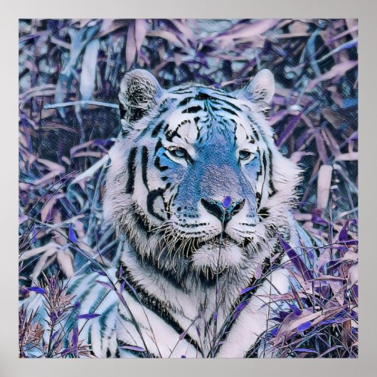 Toony Tiger blue Poster (Voorkant)