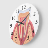 TOOTH STRUCTURE GROTE KLOK (Hoek)