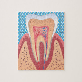 TOOTH STRUCTURE LEGPUZZEL