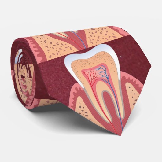TOOTH STRUCTURE STROPDAS (Opgerold)