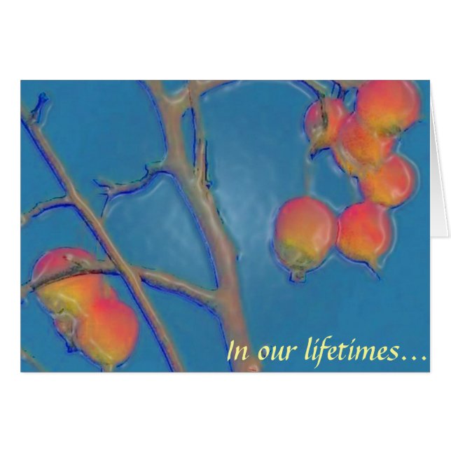 Tooty Frooty (Voorkant Horizontaal)