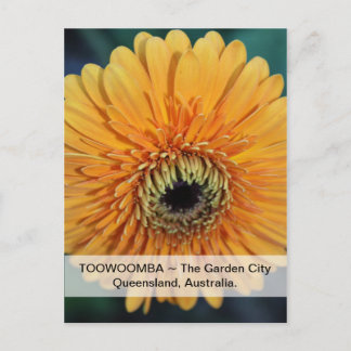 Toowoomba het Briefkaart van de tuin