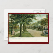 Top Ave., St. Paul, MN Briefkaart (Voorkant / Achterkant)