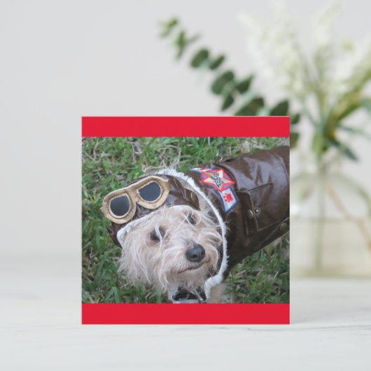 Top Chien en costume d'aviateur Carte de note plat (Debout devant)