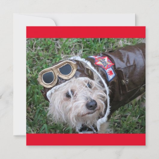 Top Chien en costume d'aviateur Carte de note plat (Devant)