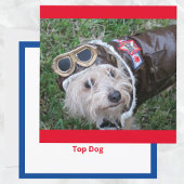Top Chien en costume d'aviateur Carte de note plat