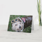 Top Dog dans la carte de note costume d'aviateur (Devant)