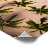 Top-Down Uitzicht van palmbomen en turquoise stran Poster (Hoek)