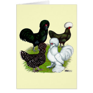 Top Hat Chicken