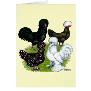 Top Hat Chicken