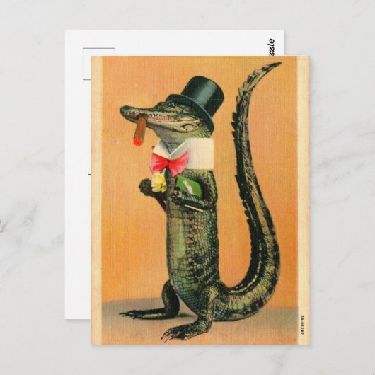 Top Hat Gator Briefkaart (Voorkant / Achterkant)