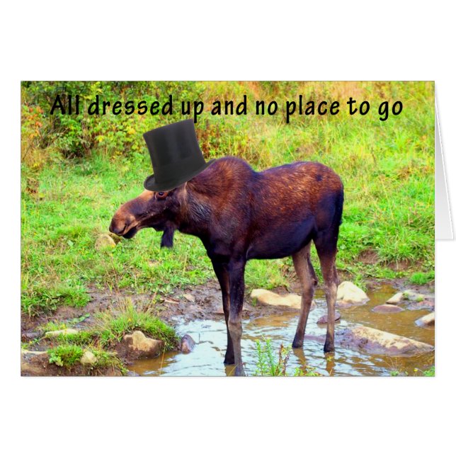 Top Hat Moose (Voorkant Horizontaal)