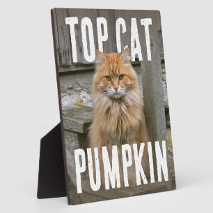 Top Kat FotoPop Fotoplaat