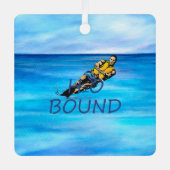 TOP Ski d'eau Métal Ornement (Recto)