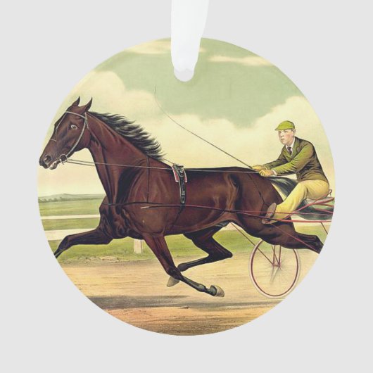 TOP Sulky Champ Ornament (voorkant)