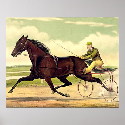 TOP Sulky Champ Poster (Voorkant)