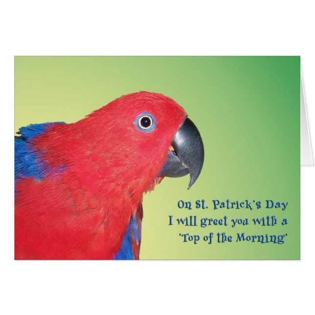 Top van de ochtend (Voorkant Horizontaal)