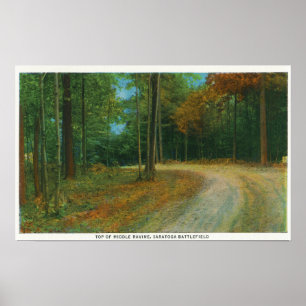 Top van het Midden-Ravine van het slagveld van Sar Poster