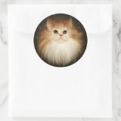 Topaz-Stickers Ronde Sticker (Tas)