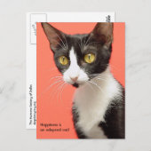 Topenga - Le bonheur est un chat adopté ! Carte po (Devant / Derrière)