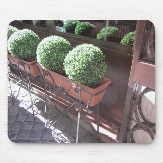 Topiary Balls Muismat (Voorkant)