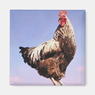 Topkaart Magneet