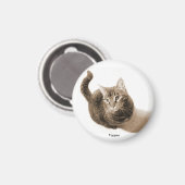 Topper de Cat Magnet Magneet (Voorkant / Achterkant)