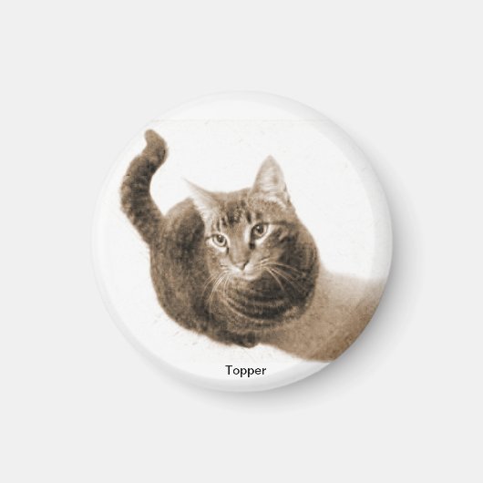 Topper de Cat Magnet Magneet (Voorkant)