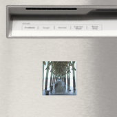 Topsail Island, aimant NC (In Situ (Lave-vaisselle))