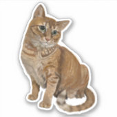 Topspin Sticker (Voorkant)