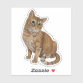 Topspin Sticker (Vel)