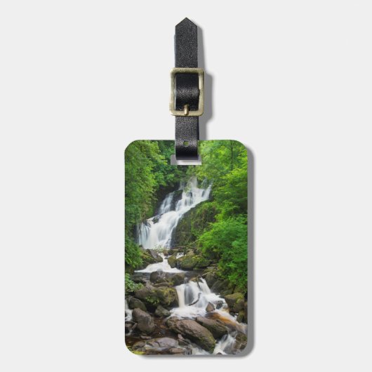 Torc-waterval landschappelijk, Ierland Bagagelabel (Voorkant verticaal)