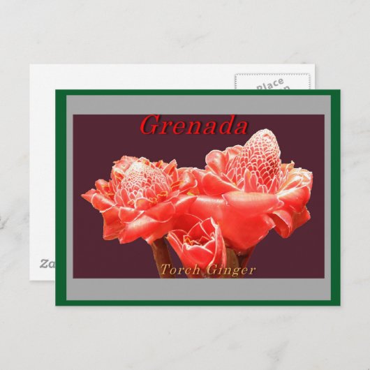 Torch Ginger Briefkaart (Voorkant / Achterkant)