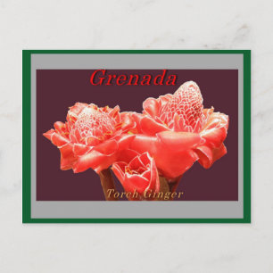 Torch Ginger Briefkaart