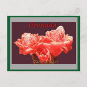 Torch Ginger Briefkaart (Voorkant)