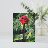 Torch Ginger Briefkaart (Staand voorkant)