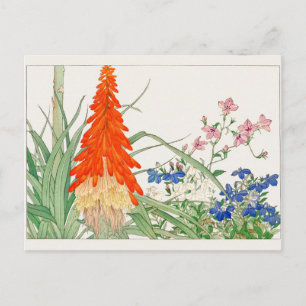 Torch lily, Lobelia, van Tanigami Konan Briefkaart