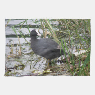 Torchon de cuisine Coot sur la rive de la rivière