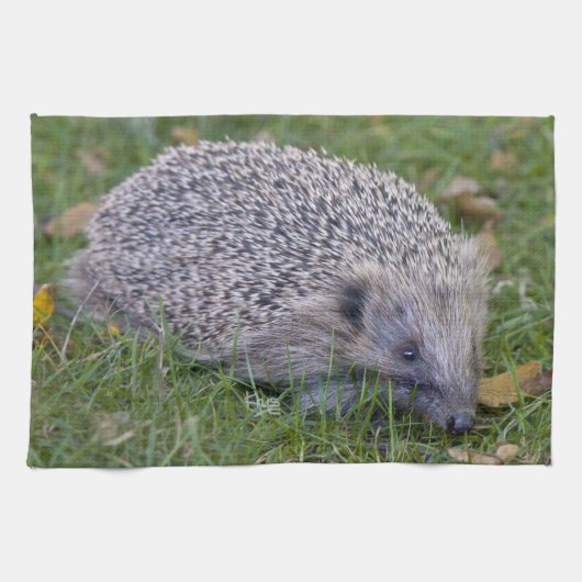 Torchon de cuisine Prickles (Horizontal)