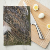 Torchons de cuisine pour hiboux (Quart Plié)