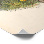  torenvalk Bird Poster (Hoek)