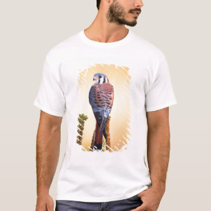 Torenvalk, Falco sparverius, Inheems in VS & Canad T-shirt