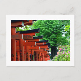 Torii-poorten, Nezu-schrijn: Tokyo, Japan Ansichtk Briefkaart