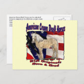 Torn Flag Cream Briefkaart (Voorkant / Achterkant)