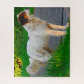 Tornjak Hond Puzzels. Legpuzzel (Verticaal)