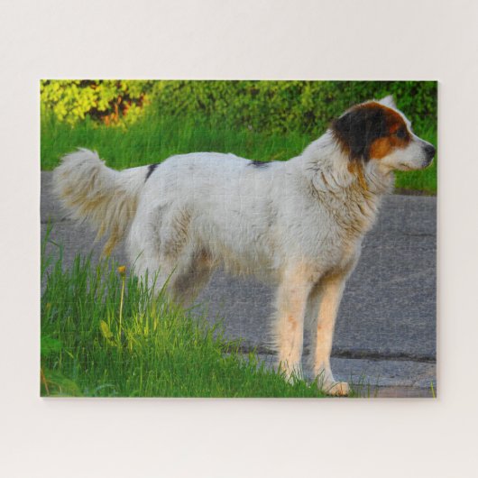 Tornjak Hond Puzzels. Legpuzzel (Horizontaal)