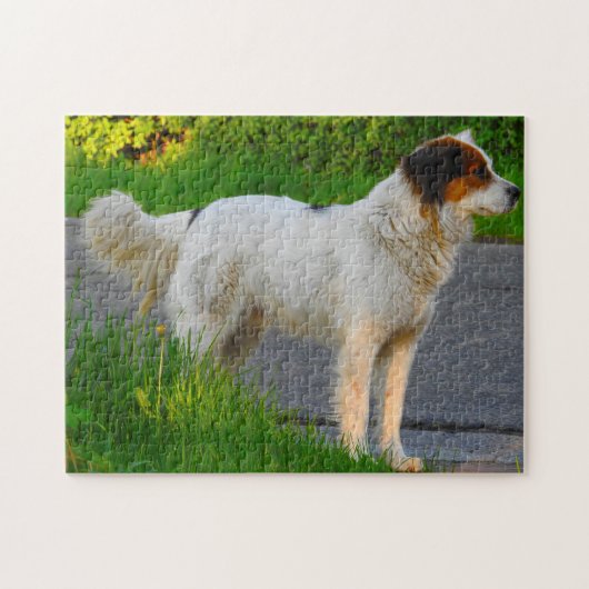 Tornjak Hond Puzzels. Legpuzzel (Horizontaal)