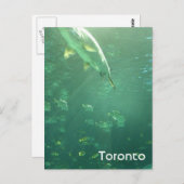 Toronto Aquarium Briefkaart (Voorkant / Achterkant)