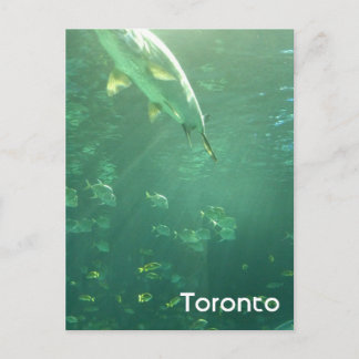 Toronto Aquarium Briefkaart