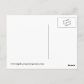 Toronto avec carte postale de la tour CN (Dos)